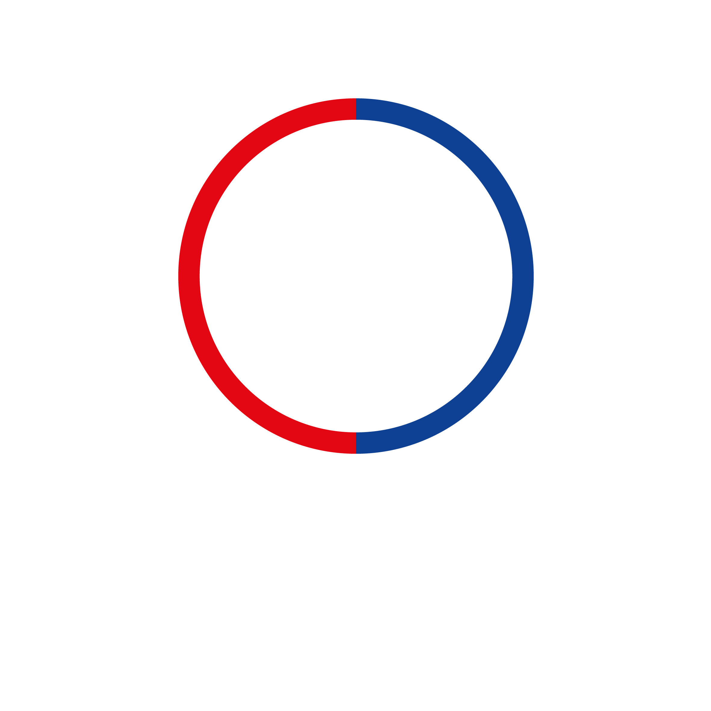 Logo Sky Roof