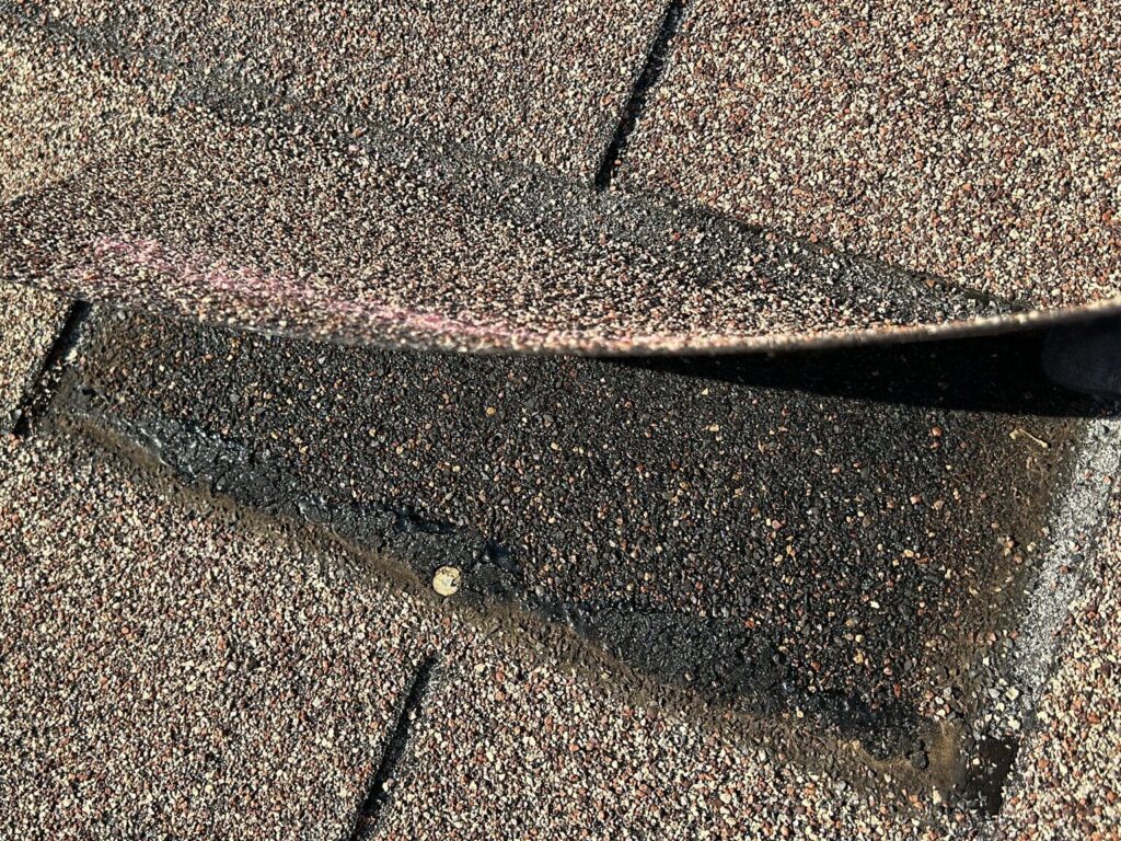 WhatsApp Image 2024-03-22 at 5.35.48 PM