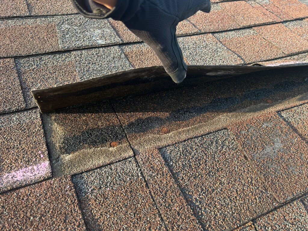 WhatsApp Image 2024-03-23 at 6.15.21 PM (1)